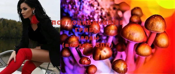 мескалин Арсеньев
