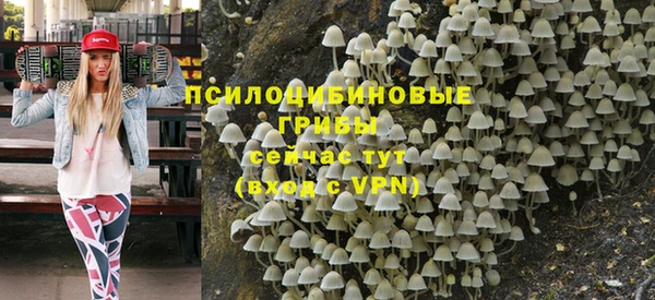 соль ск Армянск